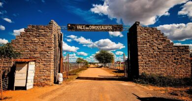 Feriado do Dia do Trabalhador altera funcionamento do Jardim Botânico e Vale dos Dinossauros
