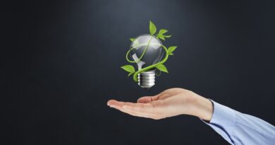 Paraíba será 1º estado do Nordeste a usar inteligência artificial do Google para monitorar emissões, melhorar trânsito, ar e energia