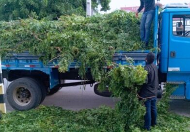 Infraestrutura avança com serviços de limpeza, drenagem e iluminação em todos os bairros de Cajazeiras
