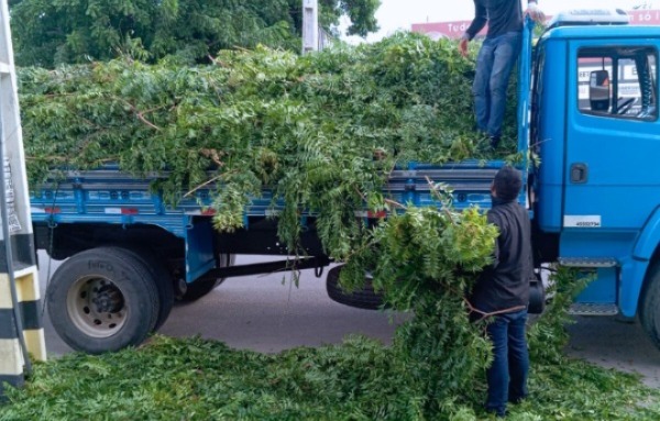 Infraestrutura avança com serviços de limpeza, drenagem e iluminação em todos os bairros de Cajazeiras