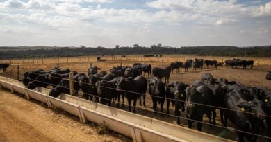 Atividade econômica brasileira cresce 2,5% em 2025 Atividade econômica brasileira cresce 2,5% em 2025