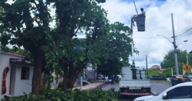 Prefeitura de Cajazeiras realiza poda de árvores de grande porte para garantir a segurança de transeuntes e moradores