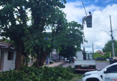 Prefeitura de Cajazeiras realiza poda de árvores de grande porte para garantir a segurança de transeuntes e moradores