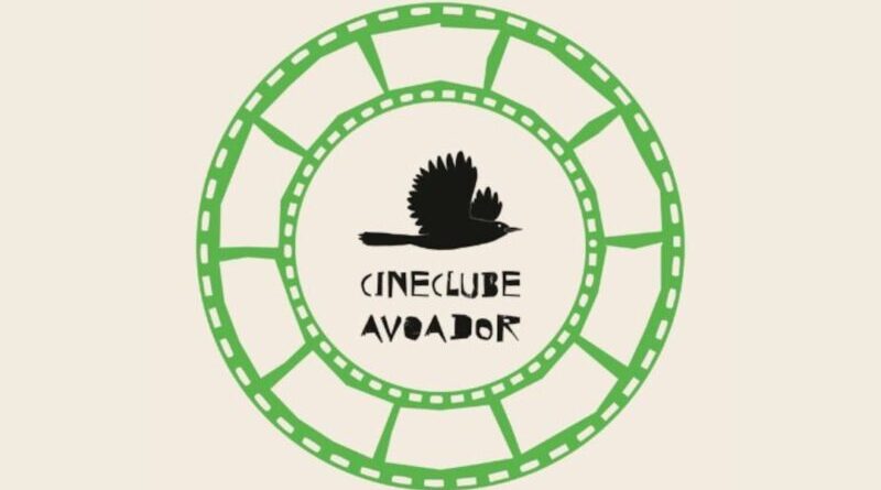 Cineclube Avoador resgata cultura cinematográfica em Cajazeiras com sessões gratuitas aos sábados Cineclube Avoador resgata cultura cinematográfica em Cajazeiras com sessões gratuitas aos sábados