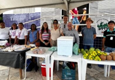 Com apoio da Prefeitura de Cajazeiras, Feira da Mulher Rural reúne produção local Com apoio da Prefeitura de Cajazeiras, Feira da Mulher Rural reúne produção local