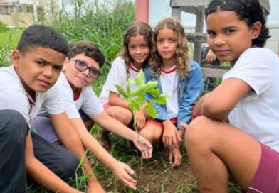 Prefeitura realiza plantio de mudas de cajazeiras e outras espécies nativas nas escolas municipais