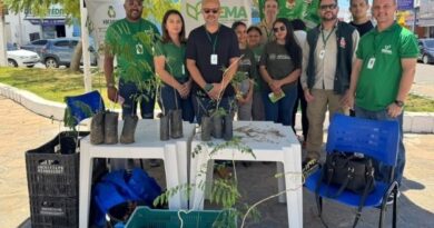 Dia da Árvore é marcado por distribuição de mudas e orientação ambiental em Cajazeiras Dia da Árvore é marcado por distribuição de mudas e orientação ambiental em Cajazeiras