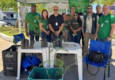 Dia da Árvore é marcado por distribuição de mudas e orientação ambiental em Cajazeiras Dia da Árvore é marcado por distribuição de mudas e orientação ambiental em Cajazeiras