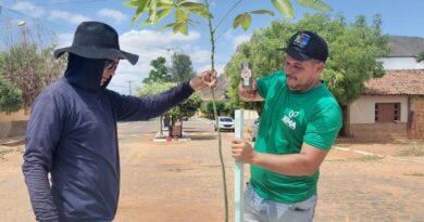 Prefeitura de Cajazeiras realiza plantio de várias espécies de árvores no Distrito de Boqueirão de Piranhas